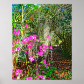 Azalea Path Bok Tower Gardens Lake Wales Poster (Voorkant)