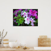 Azalea Poster (Keuken)