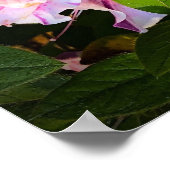 Azalea Poster (Hoek)