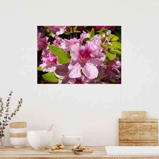 Azalea Poster (Keuken)