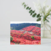 Azalea Scenery:Briefkaart Briefkaart (Staand voorkant)