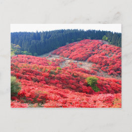 Azalea Scenery:Briefkaart Briefkaart