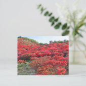 Azalea Scenery [Briefkaart] Briefkaart (Staand voorkant)
