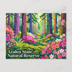 Azalea State Natural Reserve Californië Briefkaart