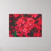 Azalea Stretched Canvas afdrukken (Voorkant)