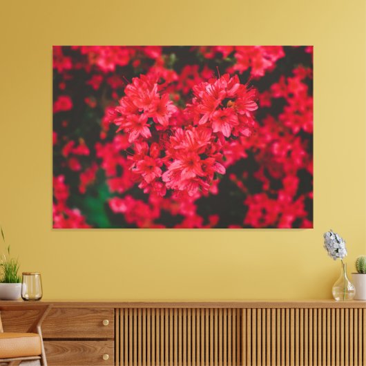 Azalea Stretched Canvas afdrukken (Insitu (Woonkamer))
