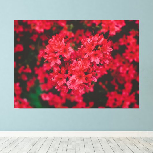 Azalea Stretched Canvas afdrukken (Insitu (Houten vloer))