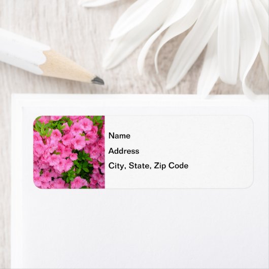 Azalea Struik Etiket (Insitu)