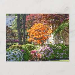 Azalea Trail Garden in Tyler, Texas Briefkaart