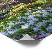Azalea Trail Garden in Tyler, Texas Poster (Hoek)