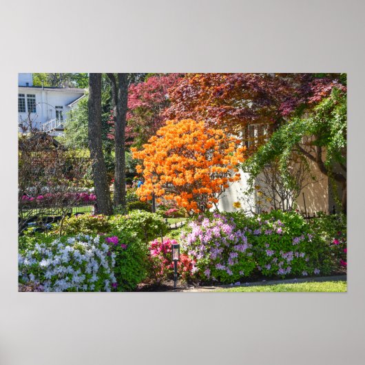 Azalea Trail Garden in Tyler, Texas Poster (Voorkant)