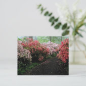 Azalea Walkway Briefkaart (Staand voorkant)
