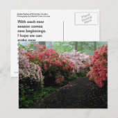 Azalea Walkway Briefkaart (Voorkant / Achterkant)