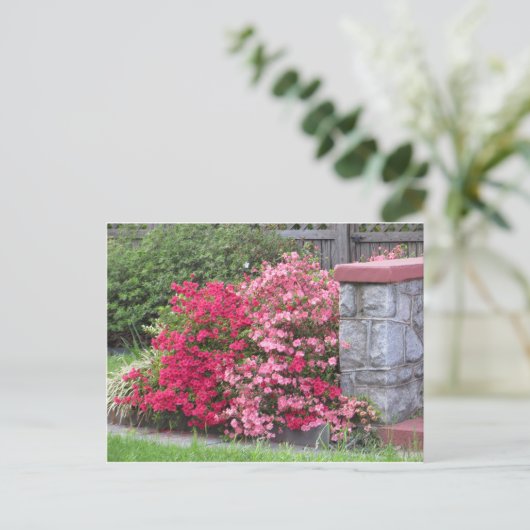 Azalea Wall Briefkaart (Staand voorkant)