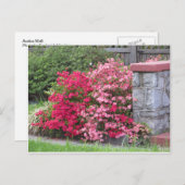 Azalea Wall Briefkaart (Voorkant / Achterkant)