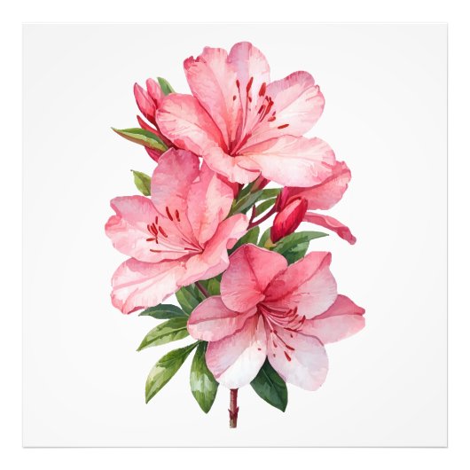 Azalea waterverf schilderij foto afdruk (Voorkant)