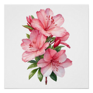 Azalea waterverf schilderij perfect poster