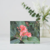 Azalea, Zilker Botanical Gardens, Austin TX Briefkaart (Staand voorkant)