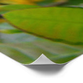 AZALEAS 10-gele Azalea Flowers Art print Posters (Hoek)