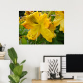 AZALEAS 10-gele Azalea Flowers Art print Posters (Thuiskantoor)