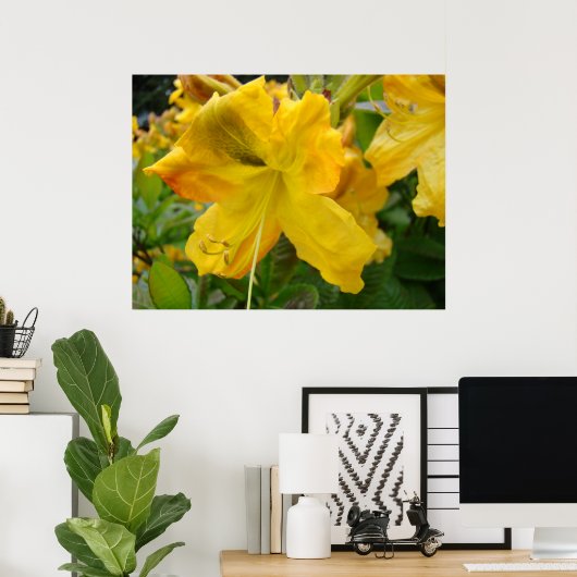 AZALEAS 10-gele Azalea Flowers Art print Posters (Thuiskantoor)