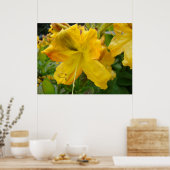 AZALEAS 10-gele Azalea Flowers Art print Posters (Keuken)