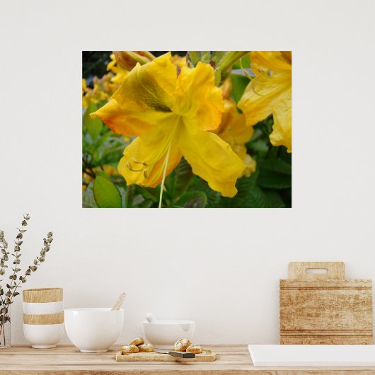 AZALEAS 10-gele Azalea Flowers Art print Posters (Keuken)