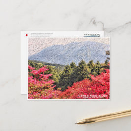 Azaleas at Mount Katsuragi ポストカード Briefkaart