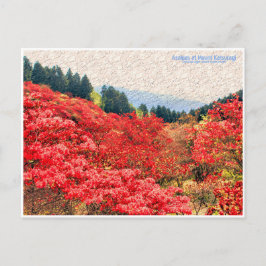 Azaleas at Mount Katsuragi ポストカード Briefkaart
