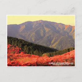 Azaleas at Mount Katsuragi ポストカード Briefkaart