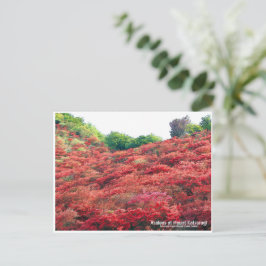 Azaleas at Mount Katsuragi ポストカード Briefkaart