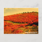 Azaleas at Mount Katsuragi ポストカード Briefkaart (Voorkant)