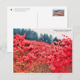 Azaleas at Mount Katsuragi ポストカード Briefkaart