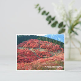 Azaleas at Mount Katsuragi Briefkaart
