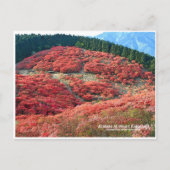 Azaleas at Mount Katsuragi Briefkaart (Voorkant)