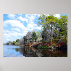Azalea's bij Rice Mill Pond Poster