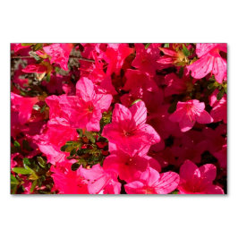 Azalea's bloemen florale lezing flashcards kaart