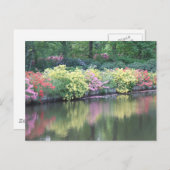 Azaleas Briefkaart (Voorkant / Achterkant)