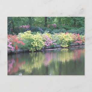 Azaleas Briefkaart