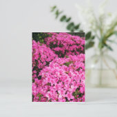 Azaleas Briefkaart (Staand voorkant)