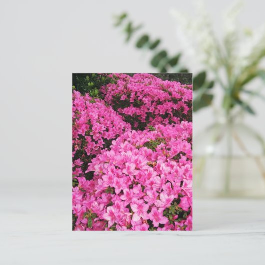 Azaleas Briefkaart (Staand voorkant)