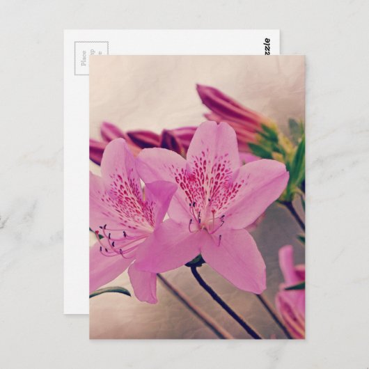 Azaleas Briefkaart (Voorkant / Achterkant)
