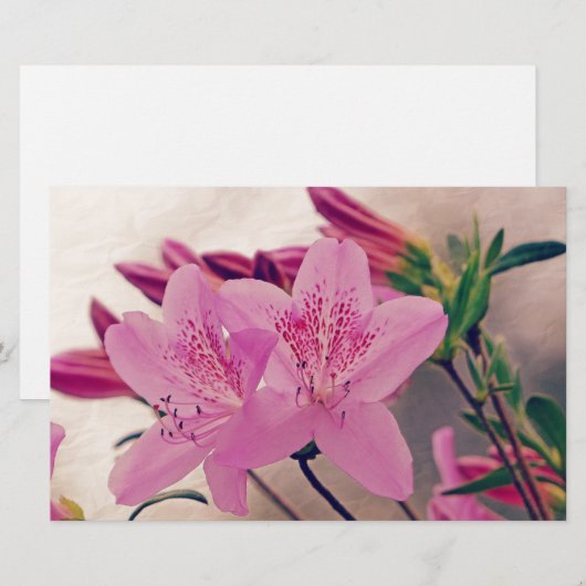 Azaleas Briefpapier (Voorkant / Achterkant)