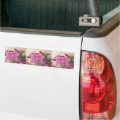 Azaleas Bumpersticker (Op Truck)