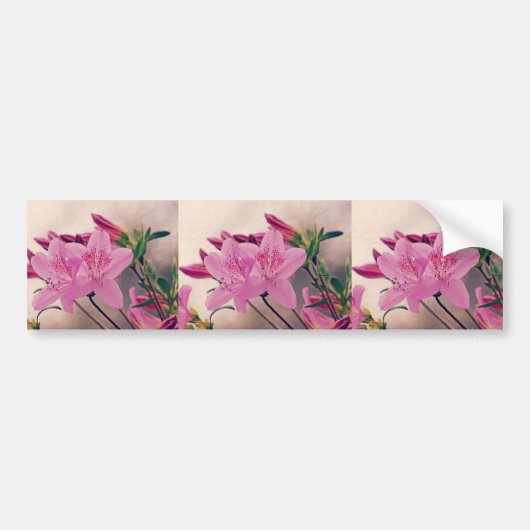Azaleas Bumpersticker (Voorkant)