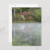 Azalea's die in het vroege stadium in een vijver t briefkaart (Voorkant / Achterkant)