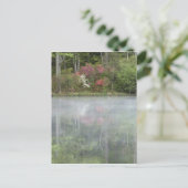 Azalea's die in het vroege stadium in een vijver t briefkaart (Staand voorkant)