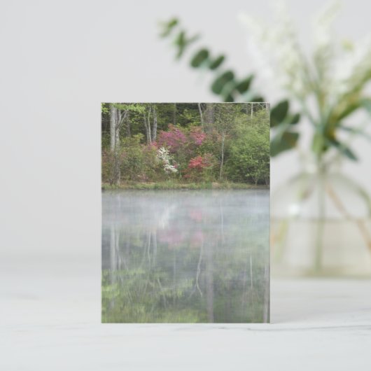 Azalea's die in het vroege stadium in een vijver t briefkaart (Staand voorkant)