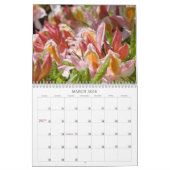Azaleas Gardens Calendar Pink White Sinaasappel Az Kalender (Mar 2026)