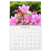 Azaleas Gardens Calendar Pink White Sinaasappel Az Kalender (Jan 2026)